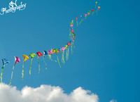 80 kites on 1 string high in the sky
