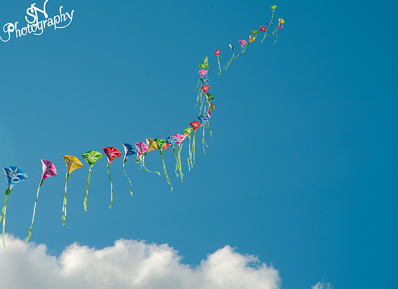 80 kites on 1 string high in the sky