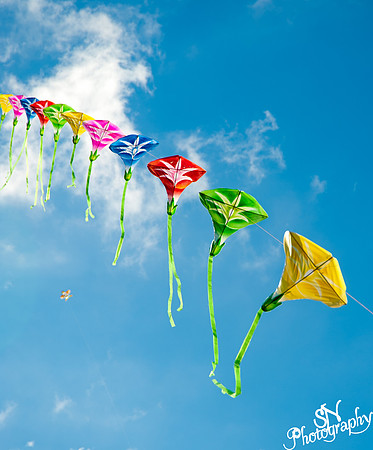Chinese Kite Flying - 80 kites on 1 string