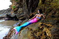 mermaid on the rocks