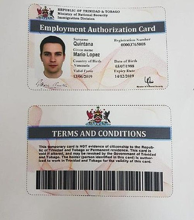 example of employment card