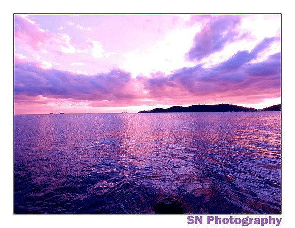 Purple and Pink Sunset