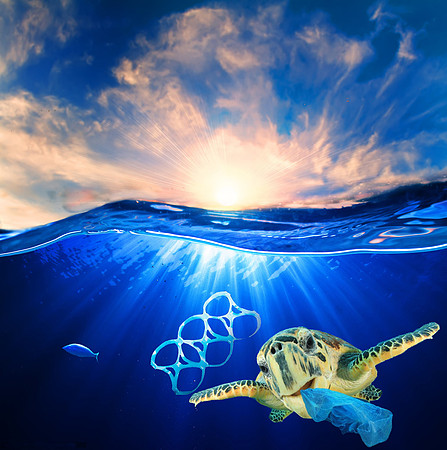 protect our seaturtles from pollution-TTPS2018 submission